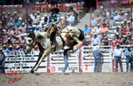 3HRodeo_CFD_JUL_18_2026_03786