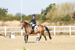 SBM_017332