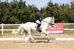 SBM_012184
