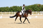 SBM_010731