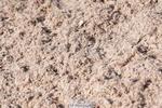 250503-093404-00100