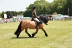 SBM_07067