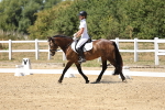 SBM_002495