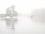 Big Creek--October Fog