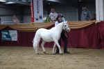 SBM_05090