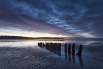 Old Timber Groynes At Sunrise.