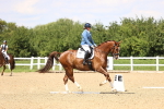 SBM_002005