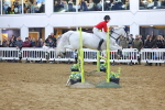 SBM_003637