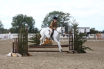 SBM_16428