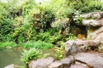 Fairy Glen