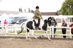 SBM_04199