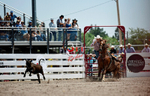 3HRodeo7-26-25_CFD_oooo2249_