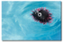 Pool Urchin
