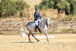 SBM_001463