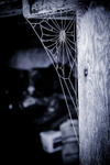 cobwebs-4063-