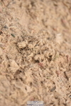 230915A-112046-00288