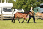 SBM_00616