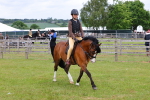 SBM_08561