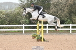 Cls 17 National 1.30m Open portfolio