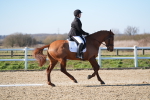 SBM_003368