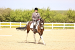 SBM_007997