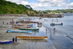 Gigs on Looe Beach for the Gig Regatta