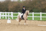 SBM_006307