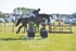 BPP_6747