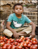 Yusuf the Tomato Seller