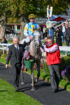 111024-Race 2-Mirabeau-1526