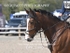 BPP_1440