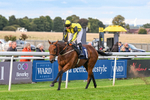 160926-Race 8-Evelyns Phoenix-2208