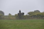 WJ5_7360