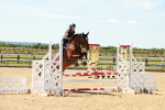 SBM_005616