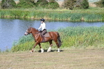 WJ7_3654