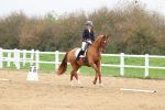SBM_006622