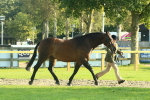 SBM_58566