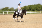 SBM_008603
