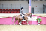 SBM_02393