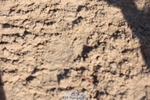 251025-143914-01643