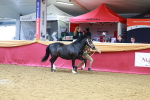 SBM_04371
