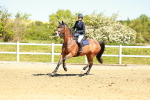 SBM_000767