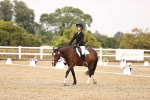 SBM_000282