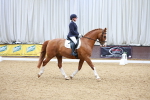 SBM_001937