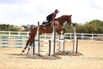 SBM_003638