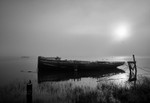 _DSC9017