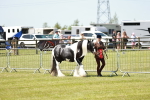 SBM_05486