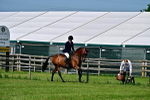 SBM_03782