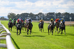 140926-Race 4-Lamlash Bay-7214