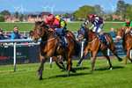 230426-Race 7-Sunny Orange-5522